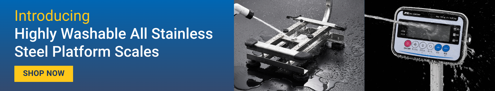 FG-CWP Washdown Precision Bench Scales